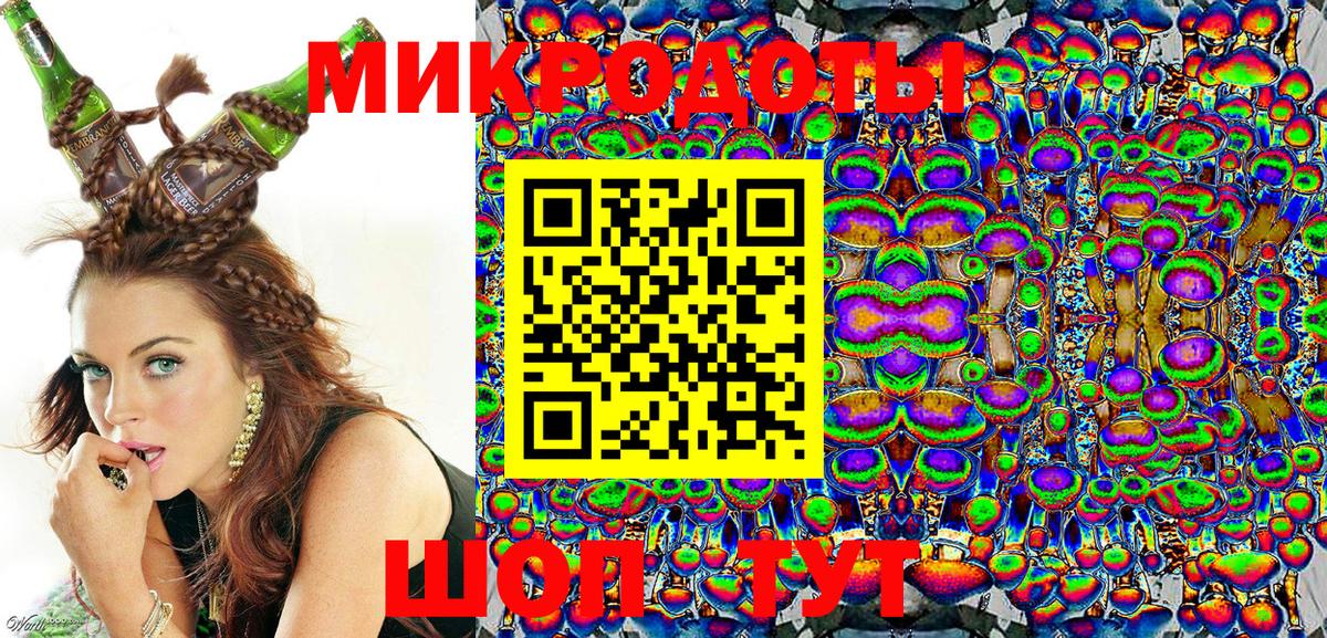 Галлюциногенные грибы Psilocybine cubensis Тольятти
